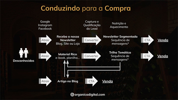 Estratégia de newsletter conduzindo o lead para a compra